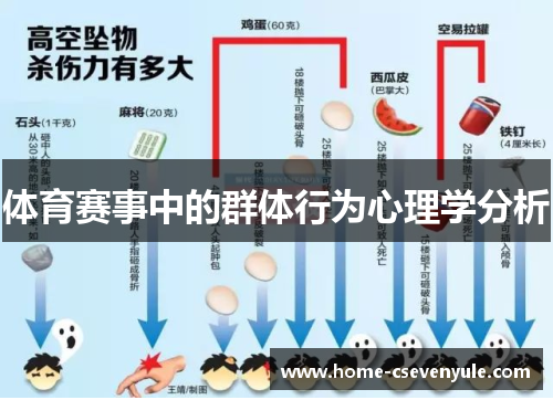 体育赛事中的群体行为心理学分析